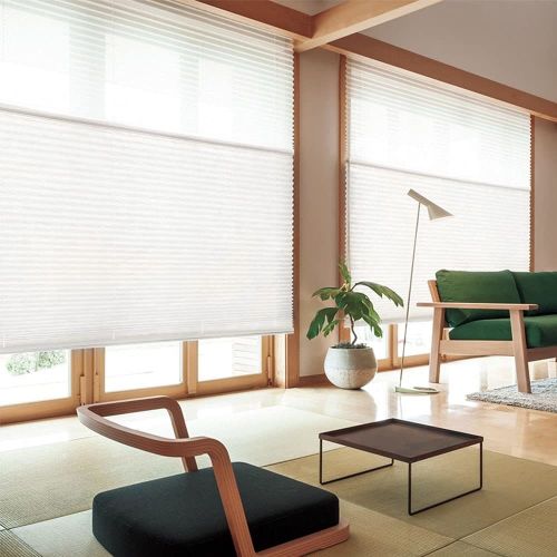 WELLSOURCE Manual Cordless Day and Night Cellular Shades Non Blackout Light Filtering Honeycomb Fabric for Home, Office, Hotel, Club
